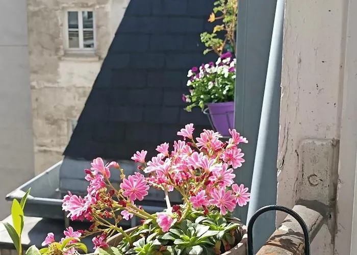 Séjour chez l'habitant La Bleue Paris
