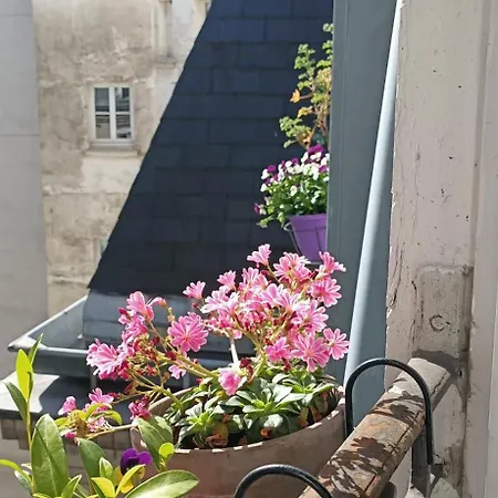 Séjour chez l'habitant La Chambre Bleue Paris